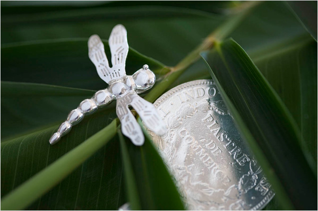 Silver Dragonfly & French Indo-China Coin Pendant